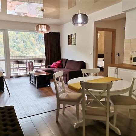 Amazing Brownie By Miro Apartment Sinaia Exterior foto