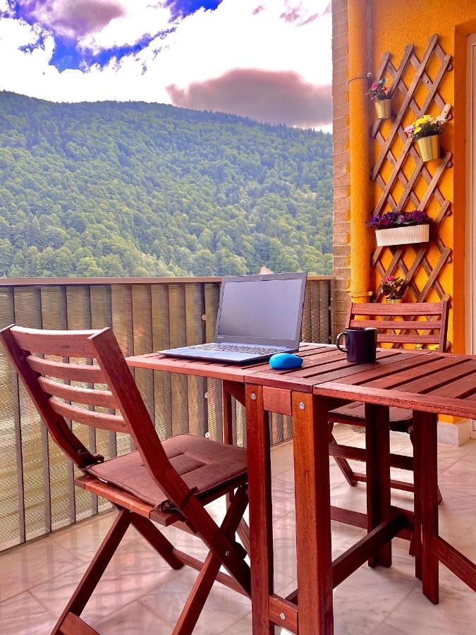 Amazing Brownie By Miro Apartment Sinaia Exterior foto